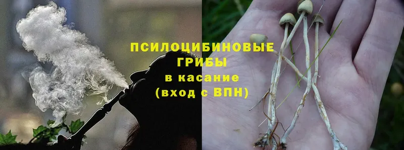 где купить наркоту  Бутурлиновка  blacksprut как зайти  Галлюциногенные грибы MAGIC MUSHROOMS 